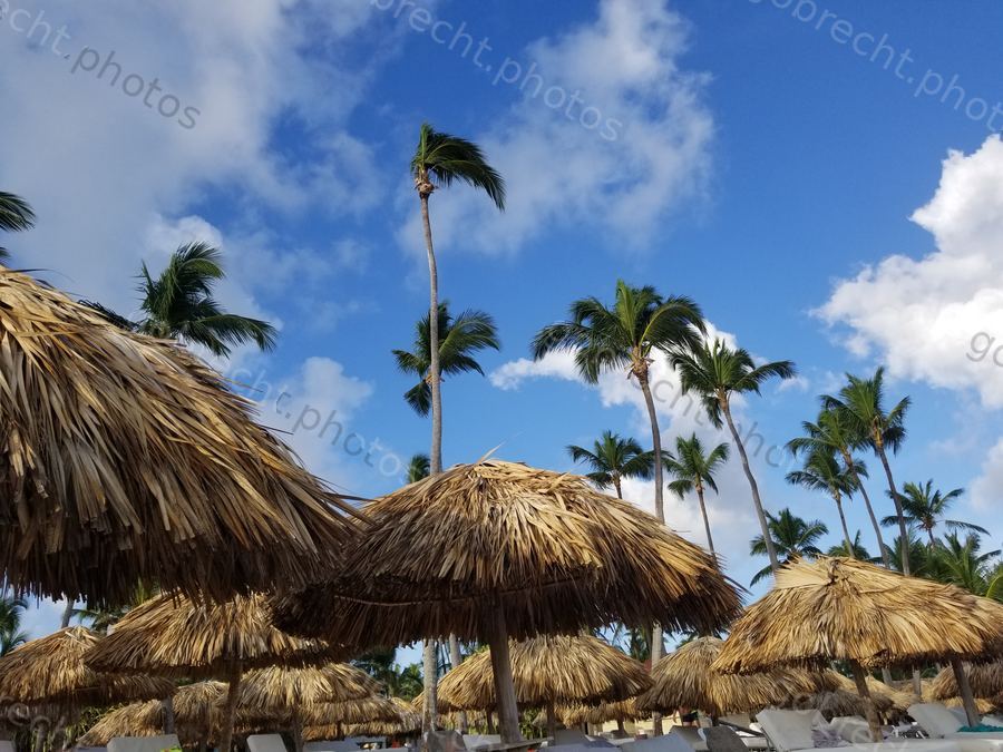Dominican Republic