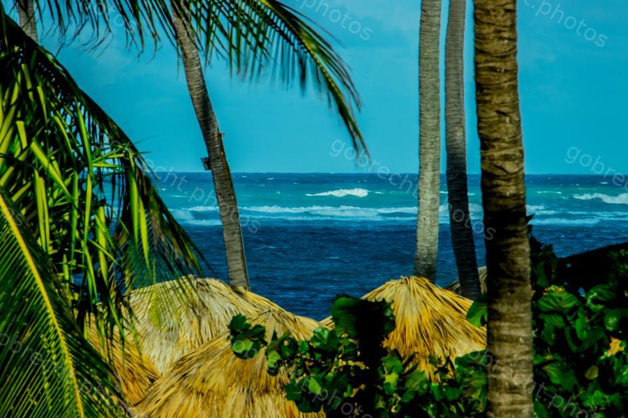 Dominican Republic