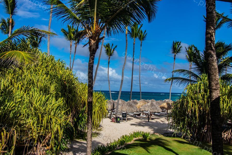 Dominican Republic