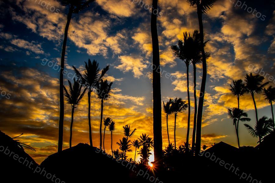 Dominican Republic