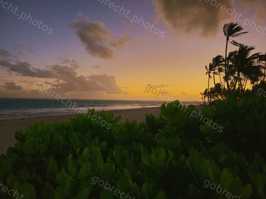 Dominican Republic