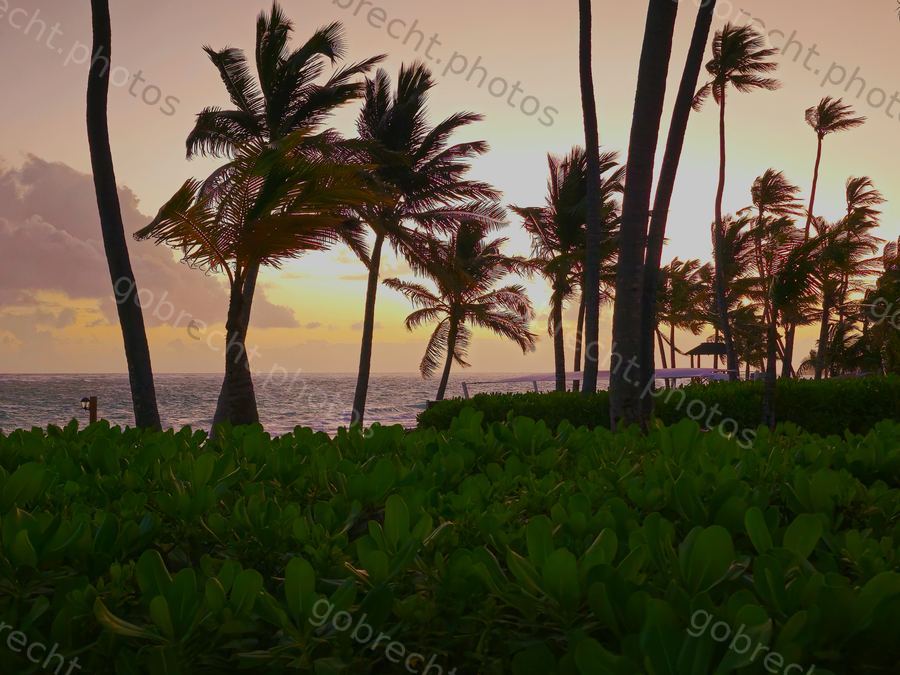 Dominican Republic
