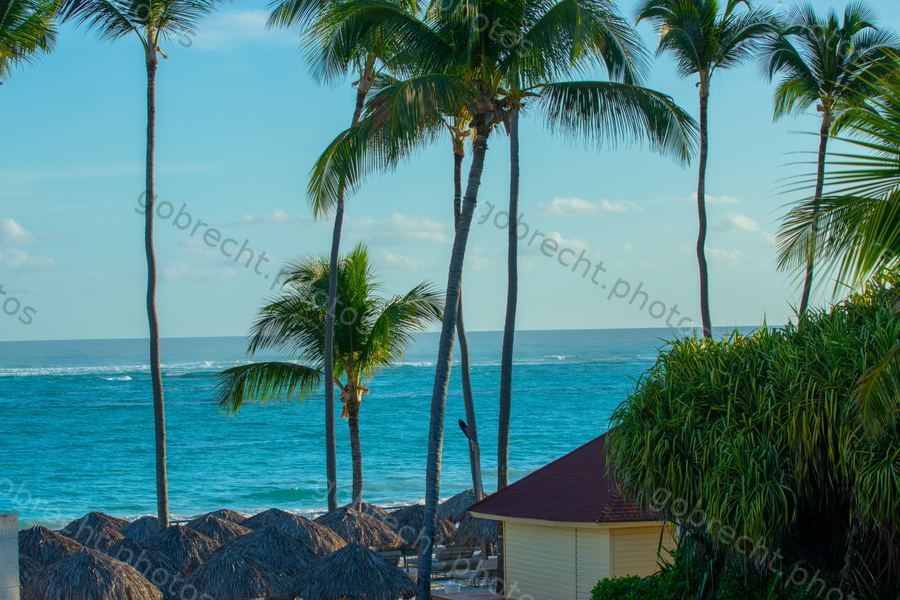 Dominican Republic
