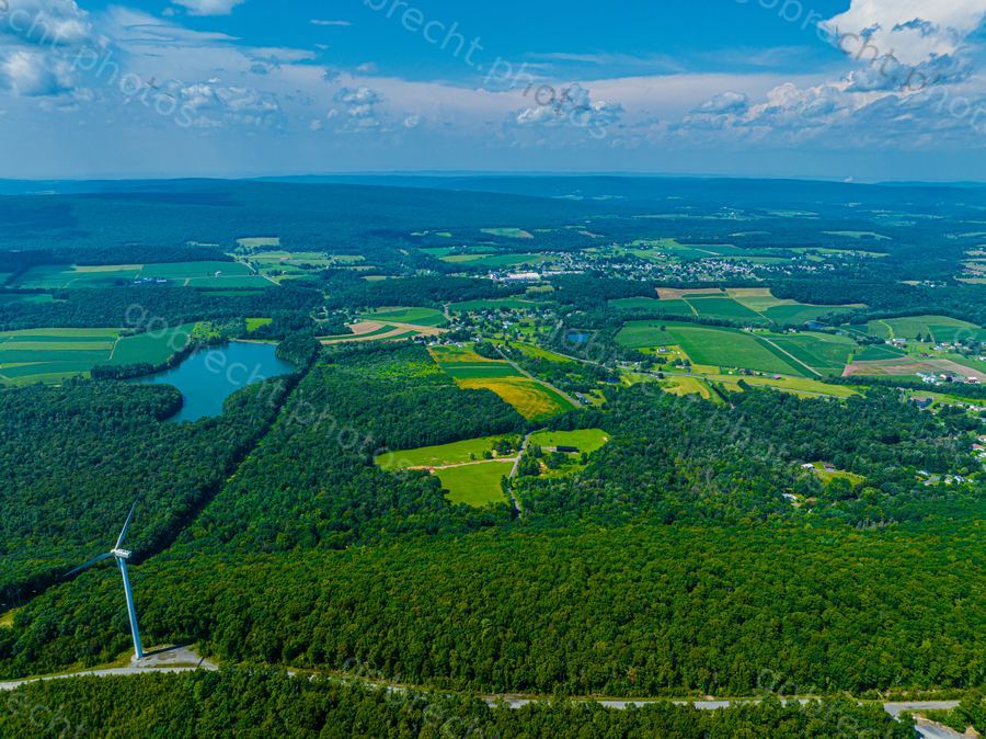 Aerial view of forested landscape with clearings, lake, and distant settlements under afternoon light.