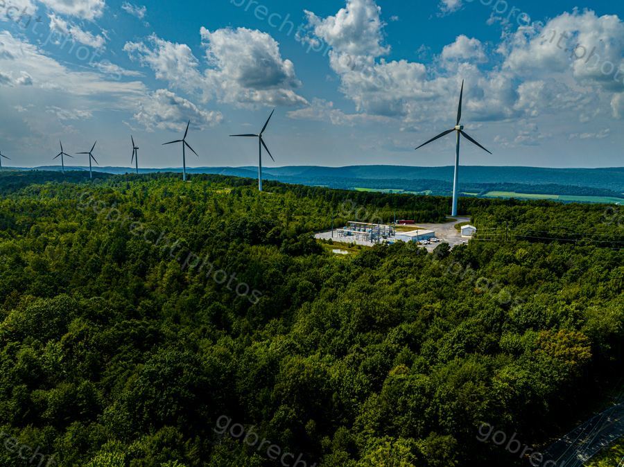 Wind turbines and facility surrounded by dense forest under blue sky with white clouds.