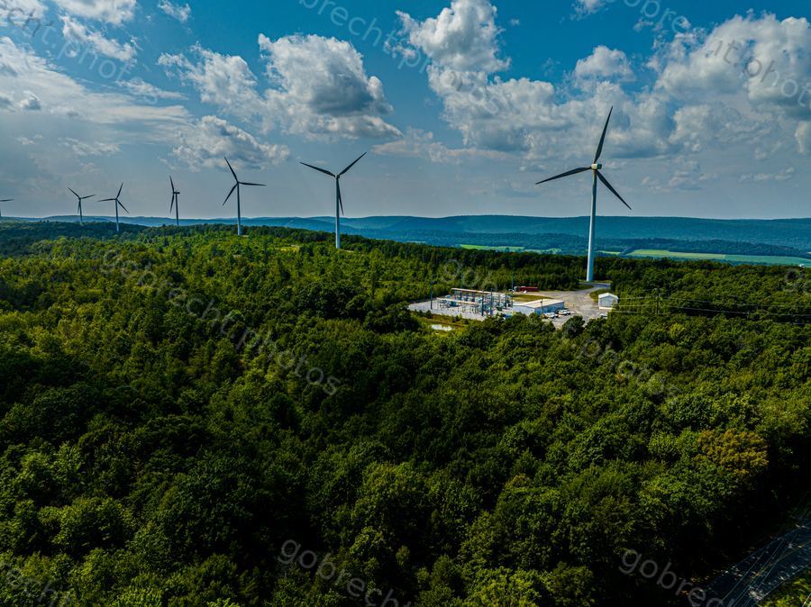 Wind turbines rise above a forested landscape with a facility clearing, photographed in afternoon sunlight.
