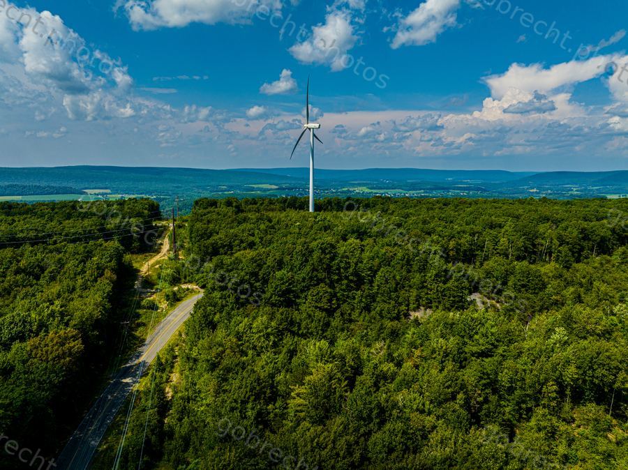 Wind turbine towering above dense green forest under blue sky with white clouds.