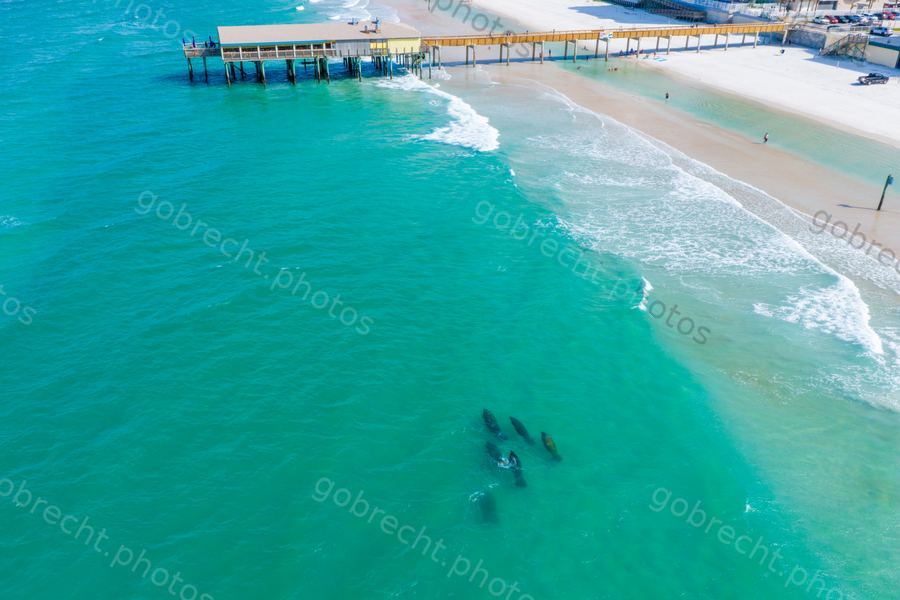 Daytona Beach