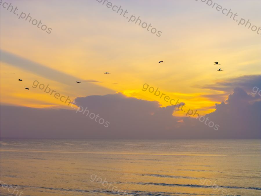 Daytona Beach